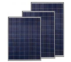 Tấm pin năng lượng mặt trời ARMSolar Poly 50W