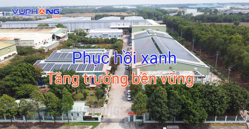 phuc-hoi-xanh-cho-tang-truong-ben-vung