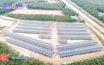 3000-kwp-blt-om-hoa-nang-greenhouse-binh-duong