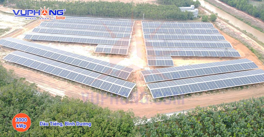 3000-kwp-blt-om-hoa-nang-greenhouse-binh-duong