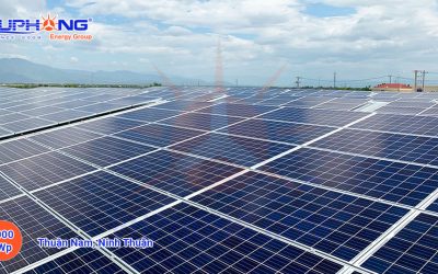 1000-kwp-epc-mam-nang-ninh-thuan